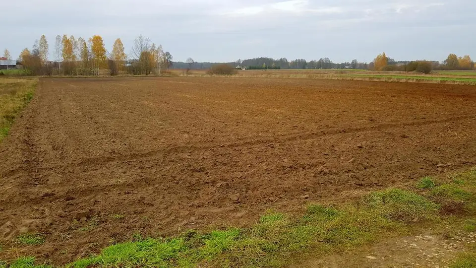 Zdjęcie 2