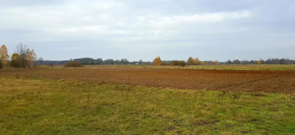 Zdjęcie 3