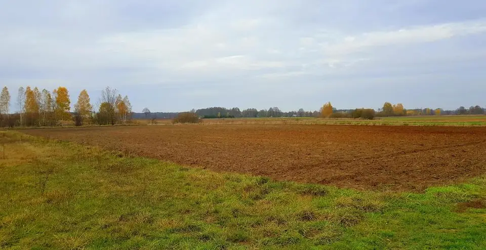 Zdjęcie 4