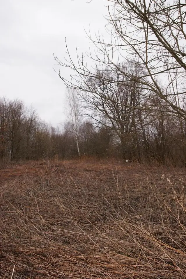 Działka budowlana i inwestycyjna 6 000 m², Kazimierz Dolny