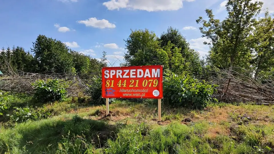 Zdjęcie 7