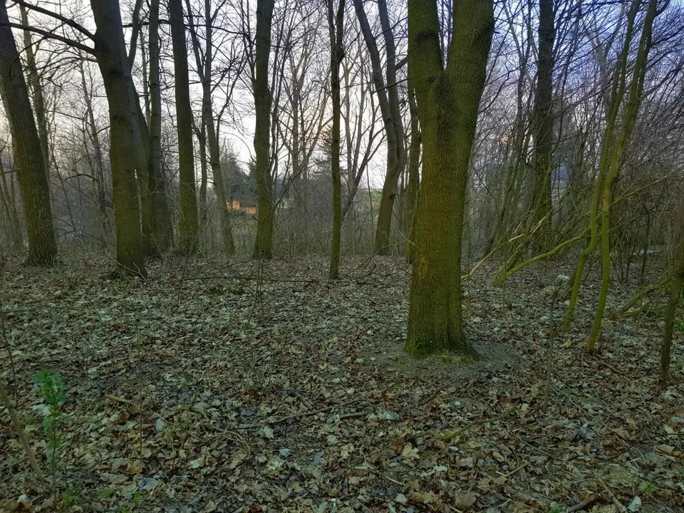 Działka budowlana 3 300 m², Kocianów