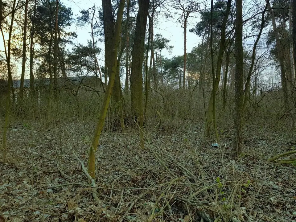 Zdjęcie 2