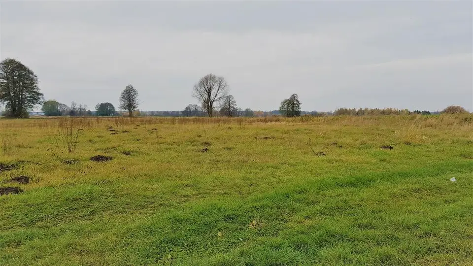 Działka rolna 1 330 m², Samoklęski-Kolonia Pierwsza