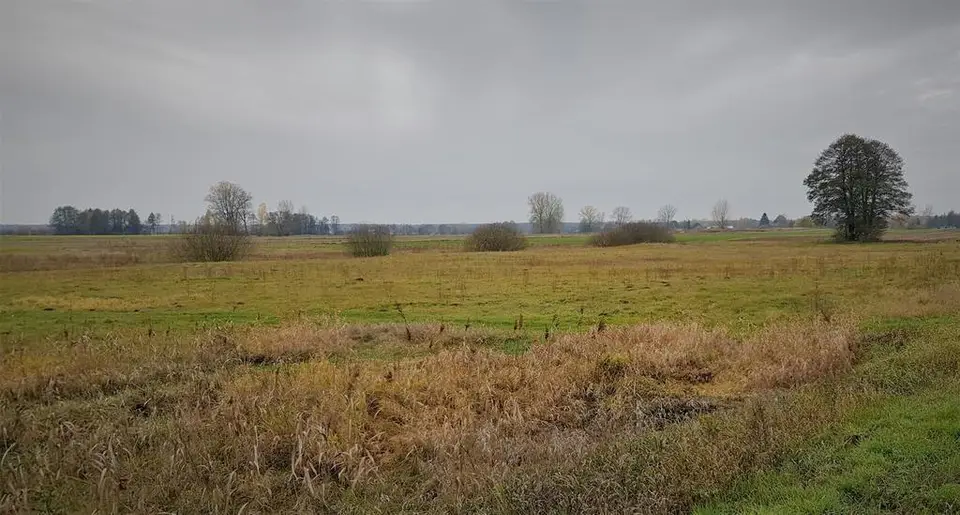 Zdjęcie 3