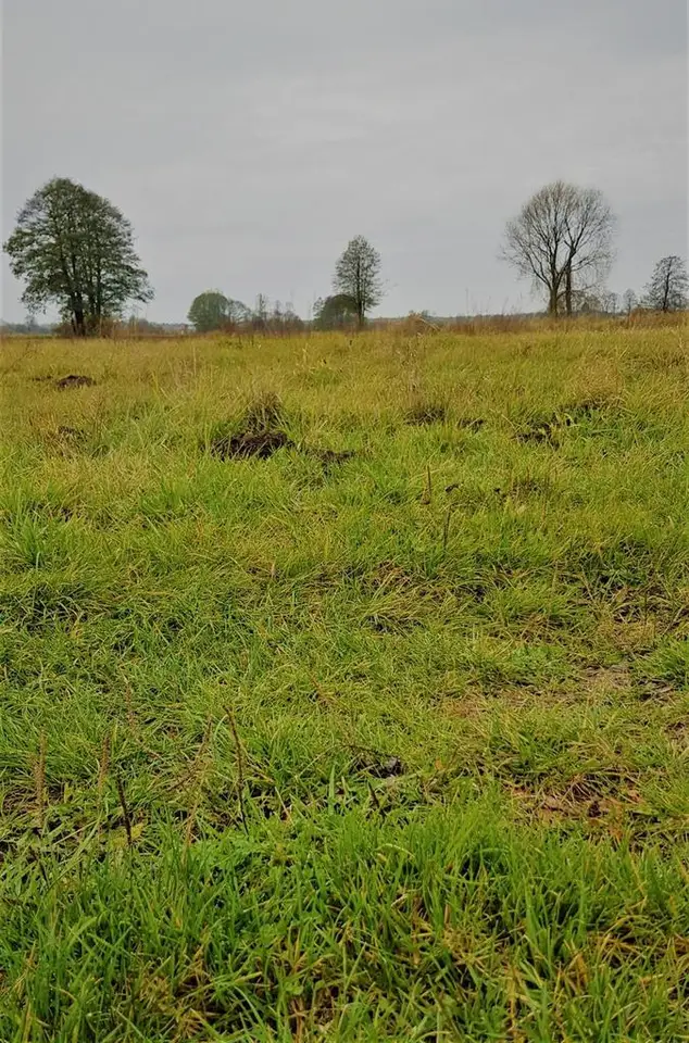 Zdjęcie 4