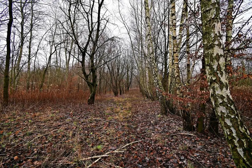 Działka budowlana 9 530 m², Kazimierz Dolny