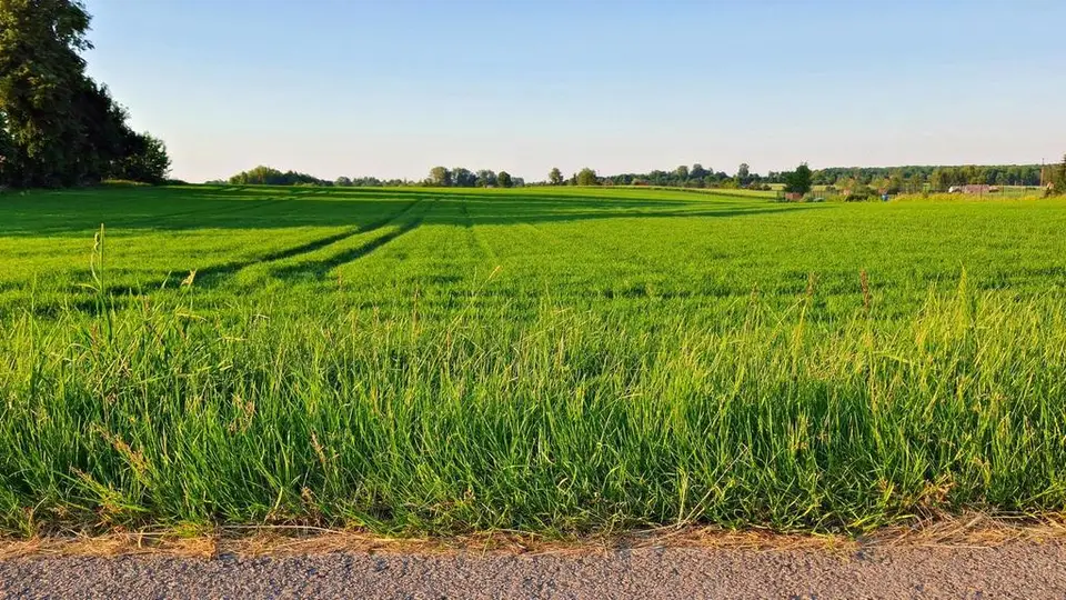 Działka budowlana 3 000 m², Miłocin