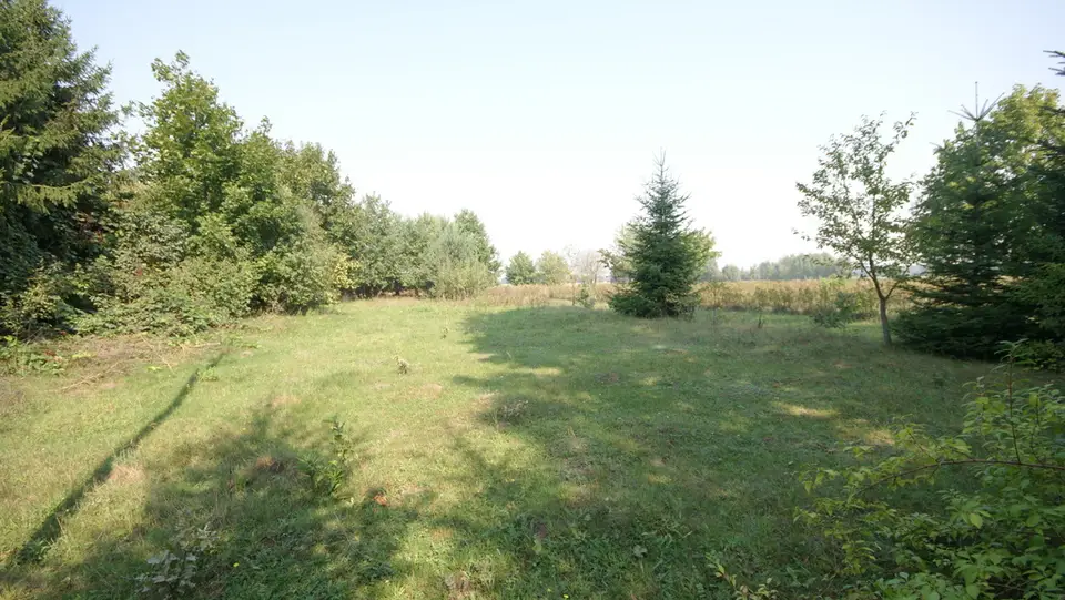 Działka budowlana 1 607 m², Gołąb