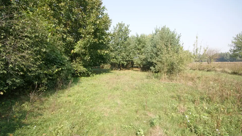 Zdjęcie 2