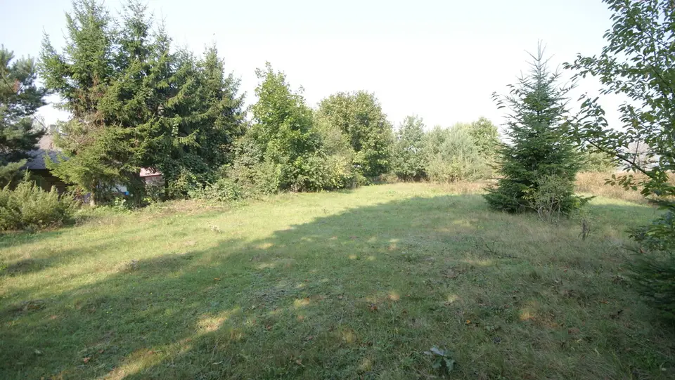 Zdjęcie 3