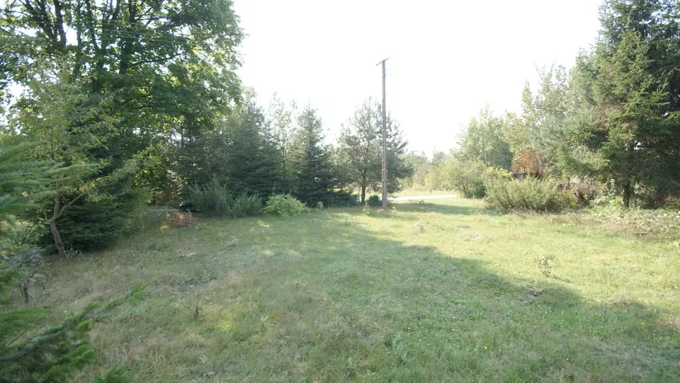 Zdjęcie 4