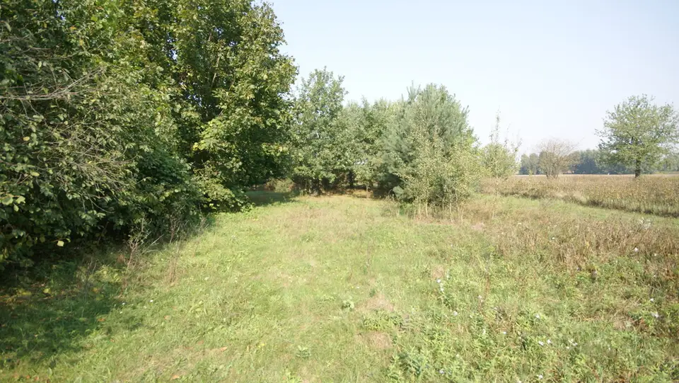 Zdjęcie 5