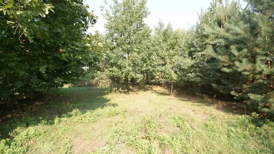 Zdjęcie 6