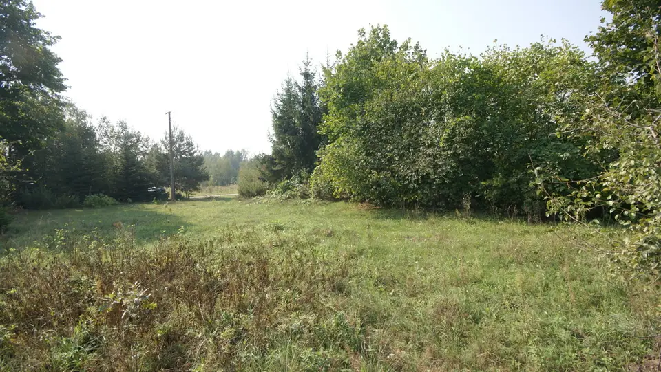 Zdjęcie 7