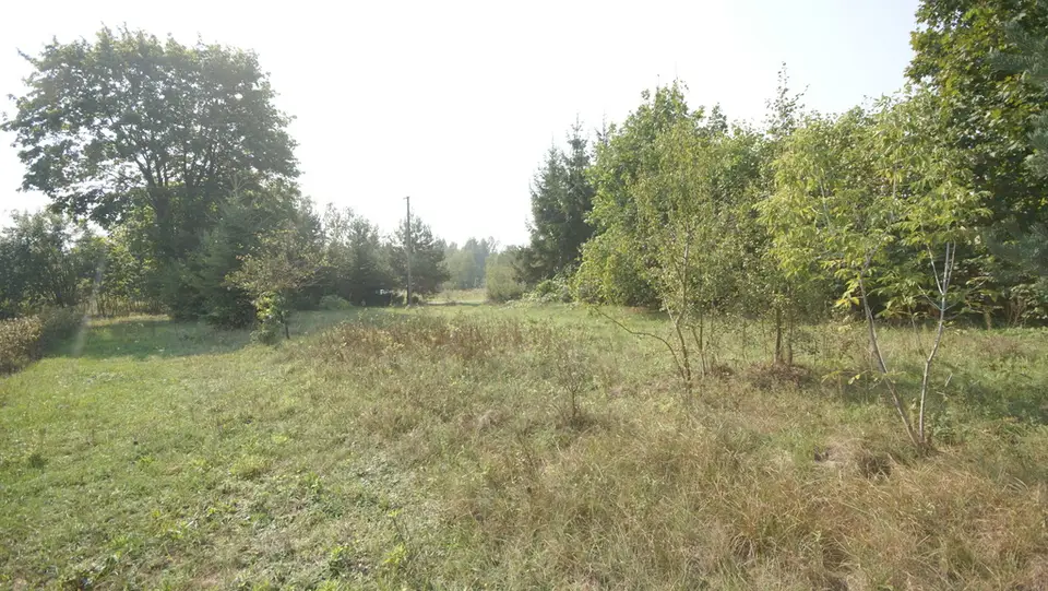 Zdjęcie 8