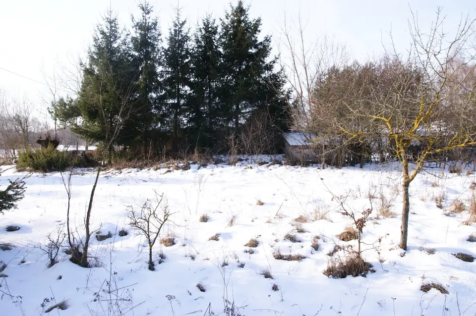 Zdjęcie 15