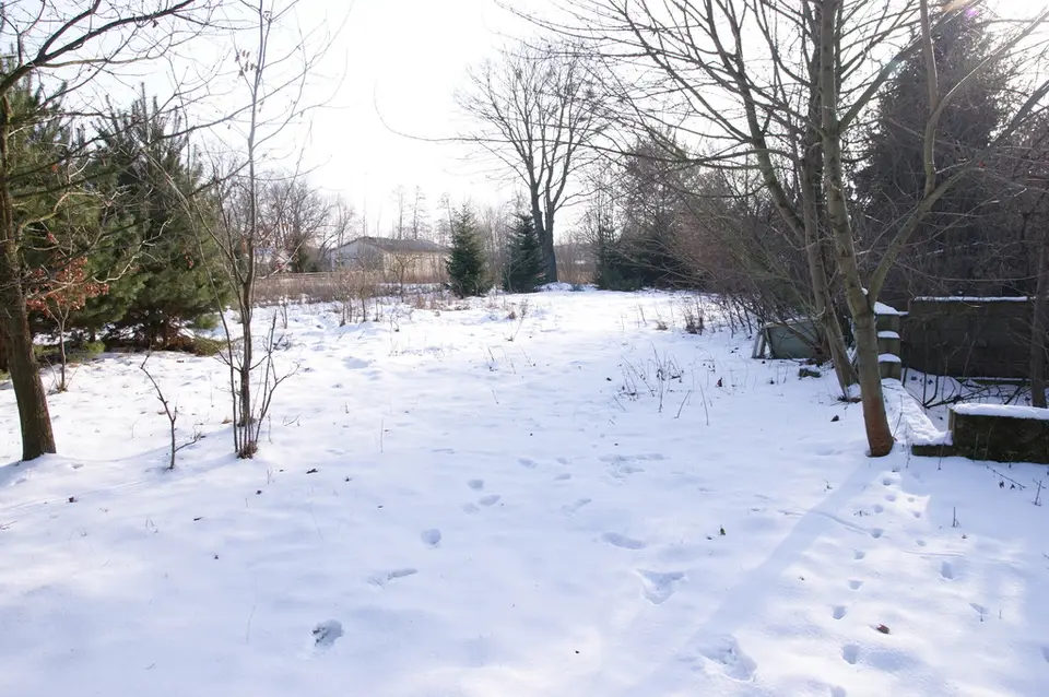 Zdjęcie 19