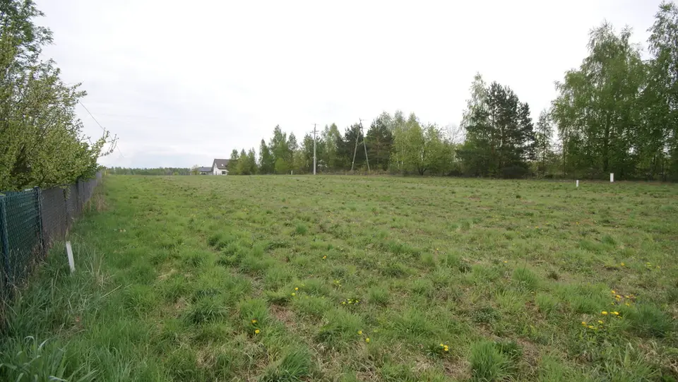 Zdjęcie 12