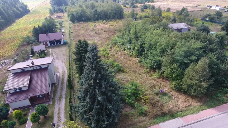 Zdjęcie 8