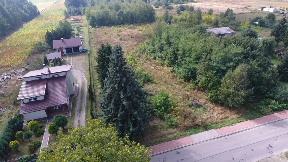 Zdjęcie 9