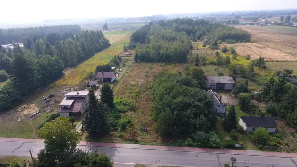 Zdjęcie 12