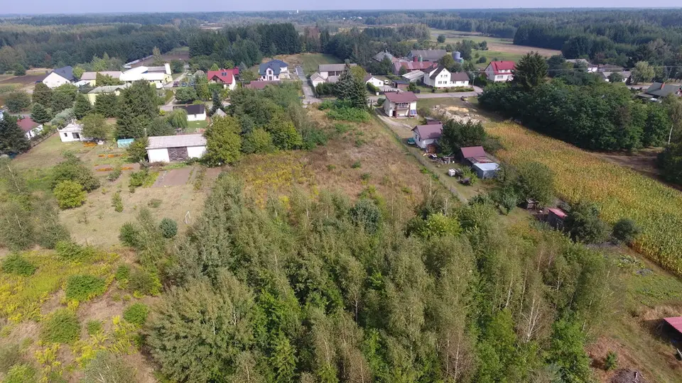 Zdjęcie 15