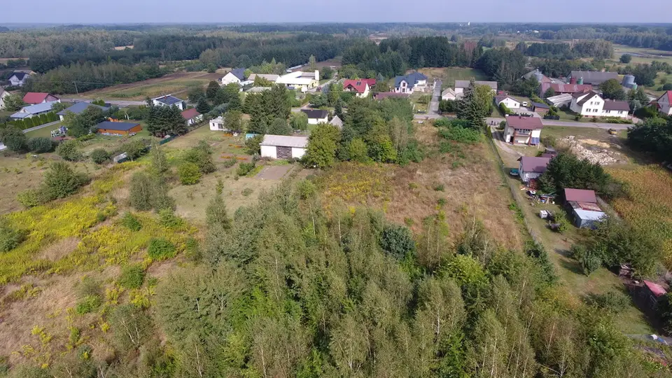 Zdjęcie 16