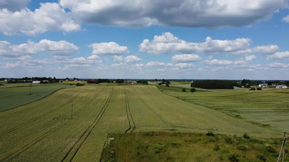Zdjęcie 3