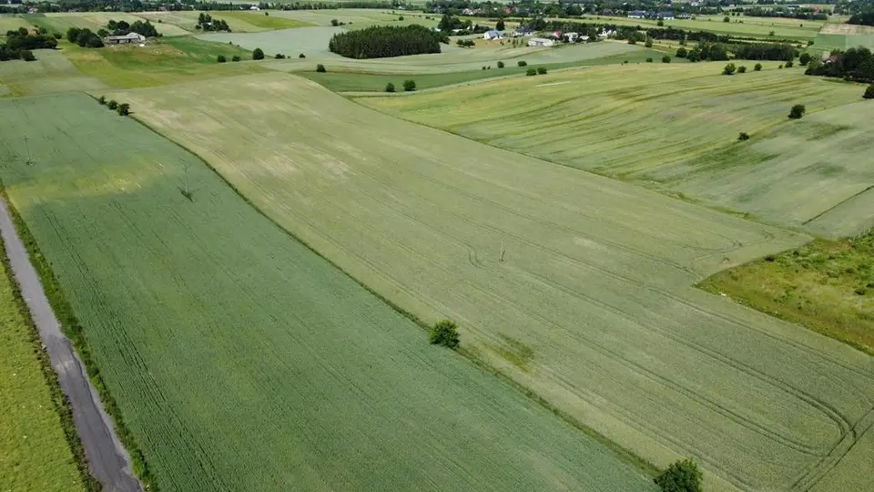 Zdjęcie 8
