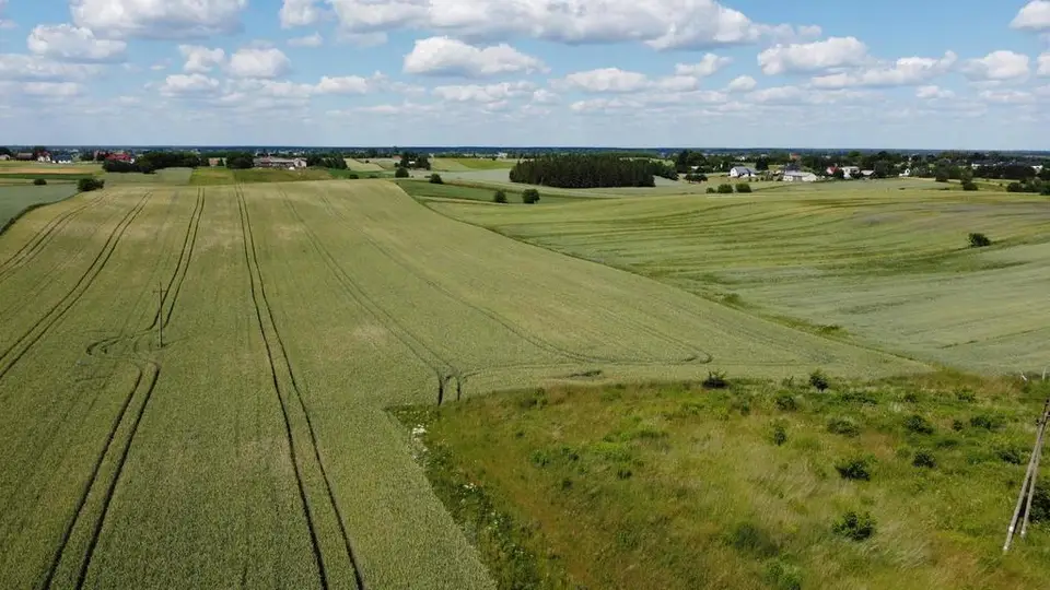 Zdjęcie 10