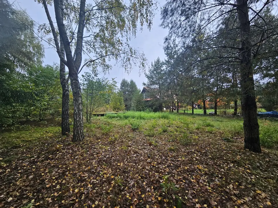 Zdjęcie 3