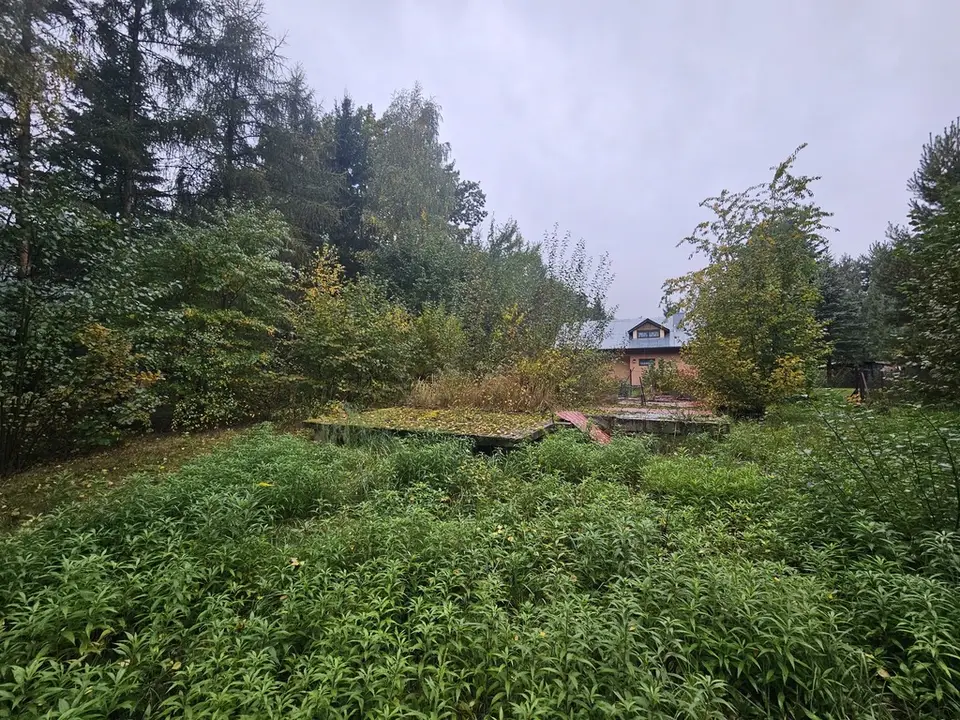 Zdjęcie 6