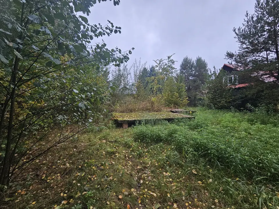 Zdjęcie 7