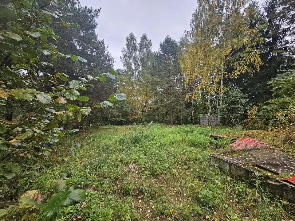 Zdjęcie 10