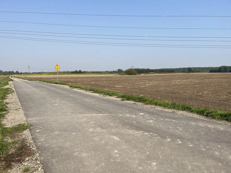 Zdjęcie 6