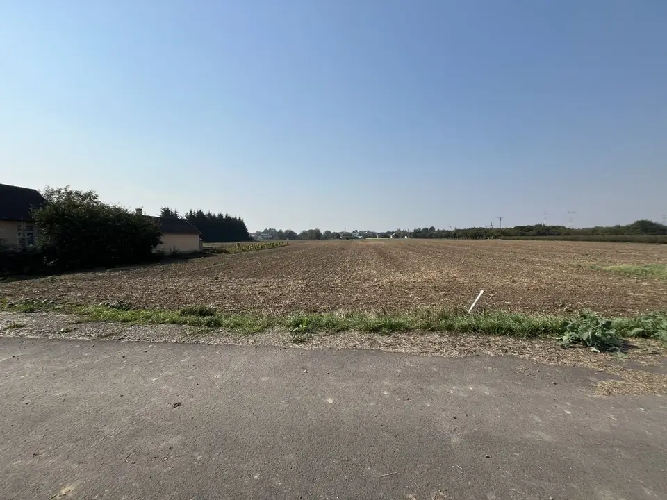 Zdjęcie 8