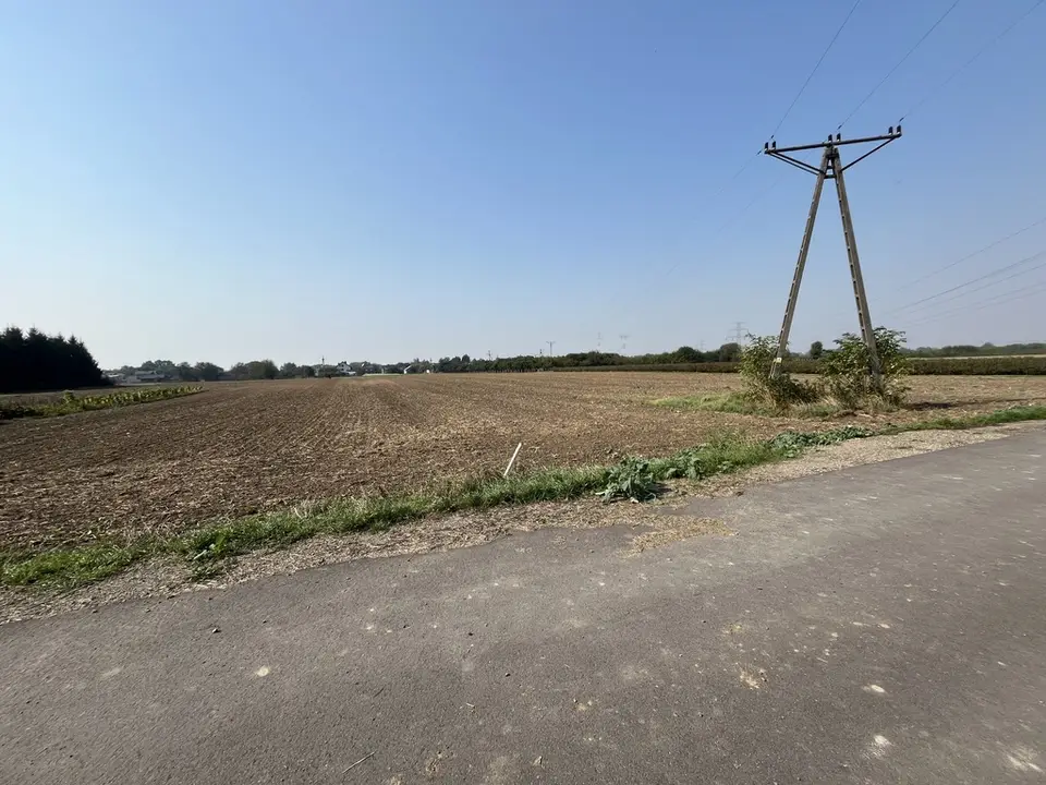 Zdjęcie 9