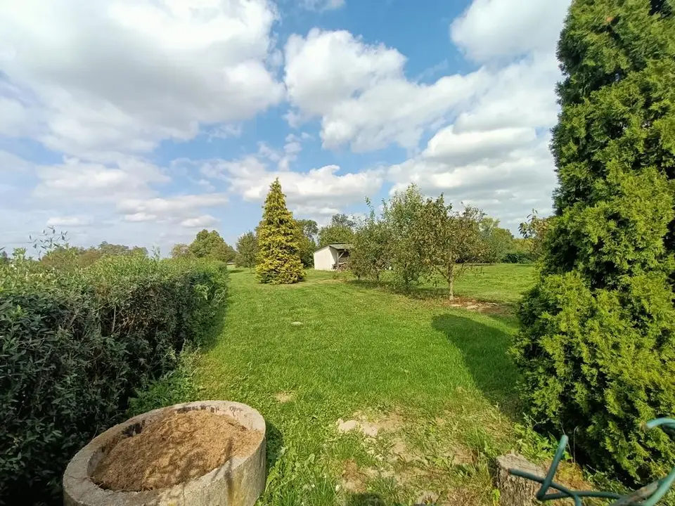 Zdjęcie 7
