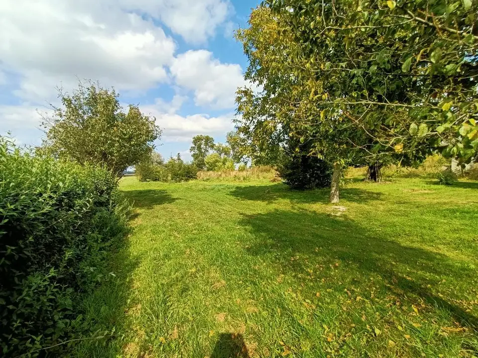 Zdjęcie 10