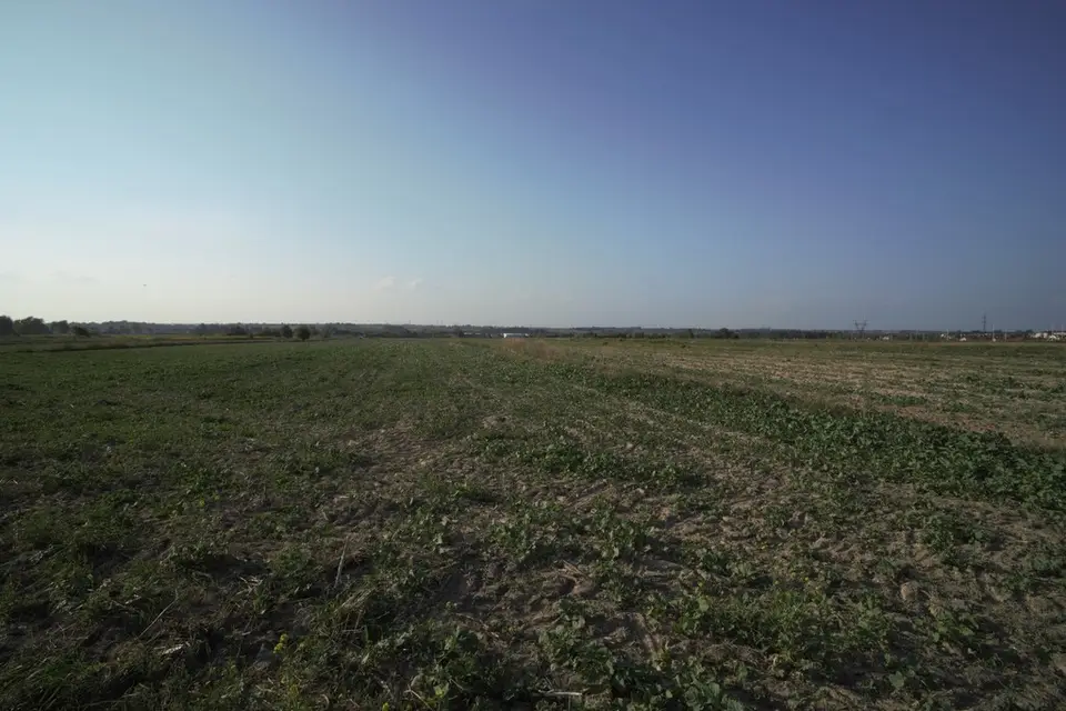 Działka budowlana i inwestycyjna 9 421 m², Długie