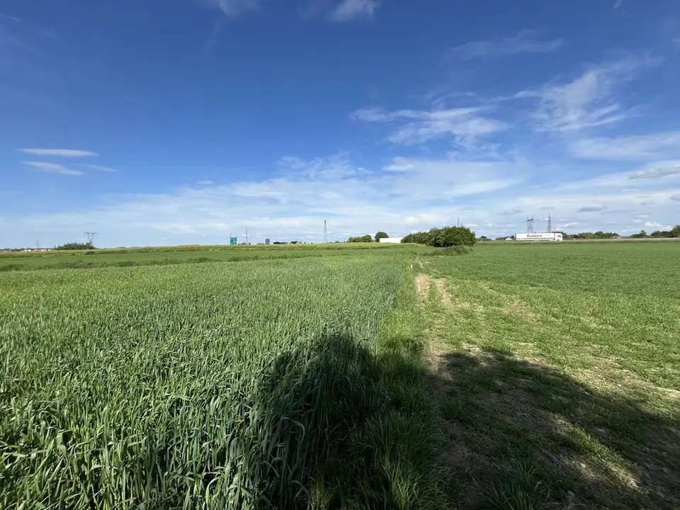 Zdjęcie 8