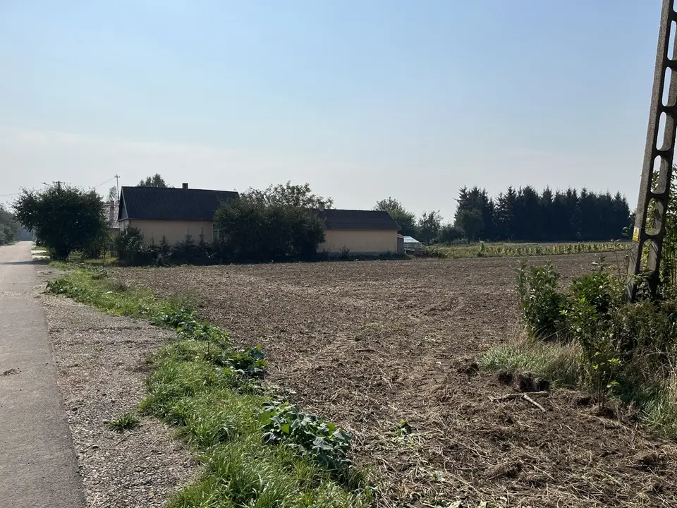 Zdjęcie 5