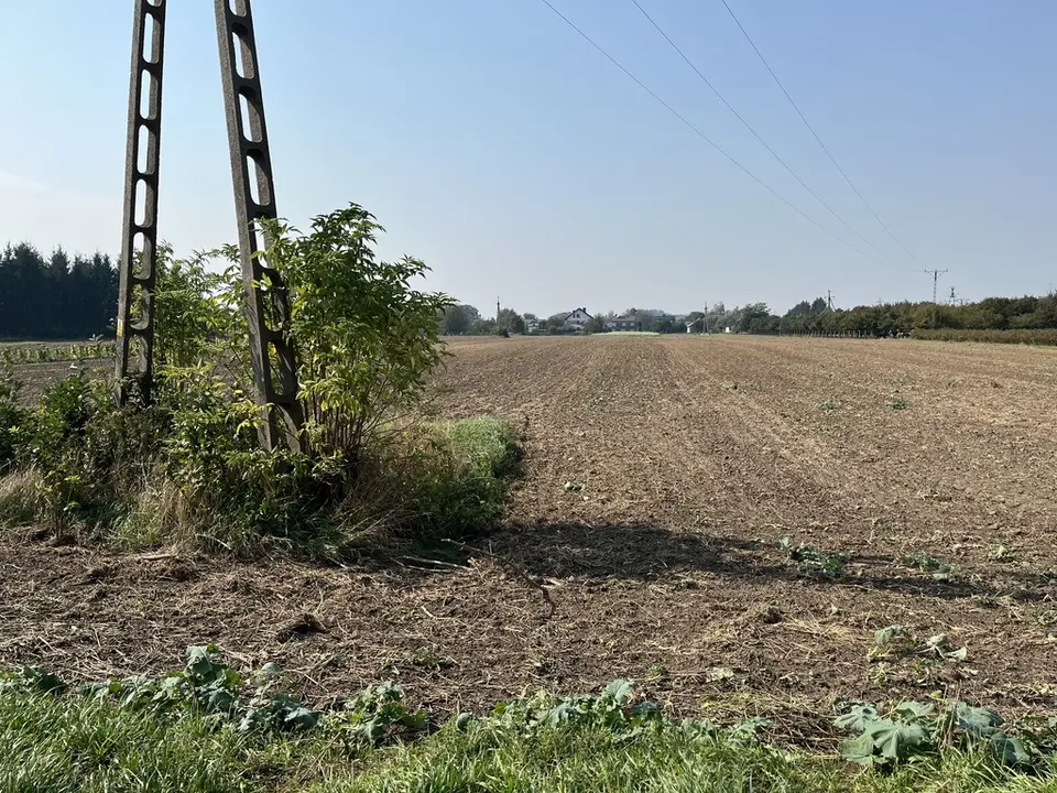 Zdjęcie 7
