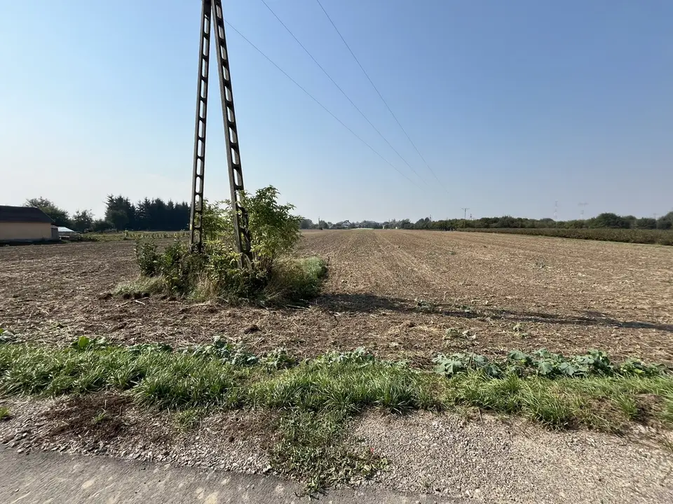 Zdjęcie 8