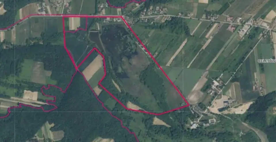 Zdjęcie 12