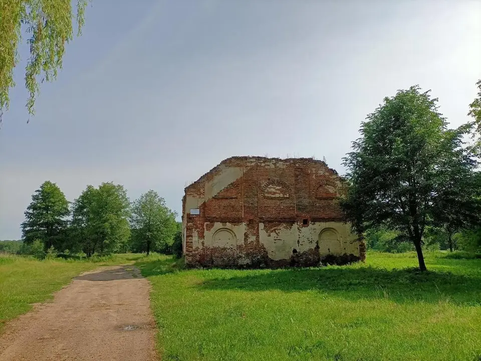 Zdjęcie 16