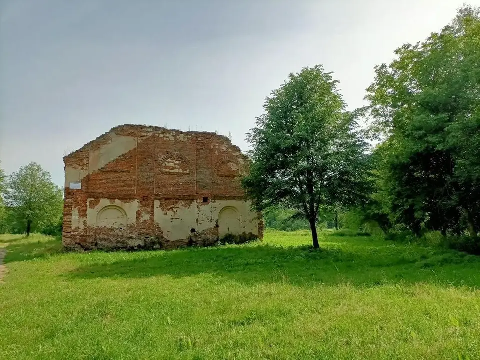 Zdjęcie 17