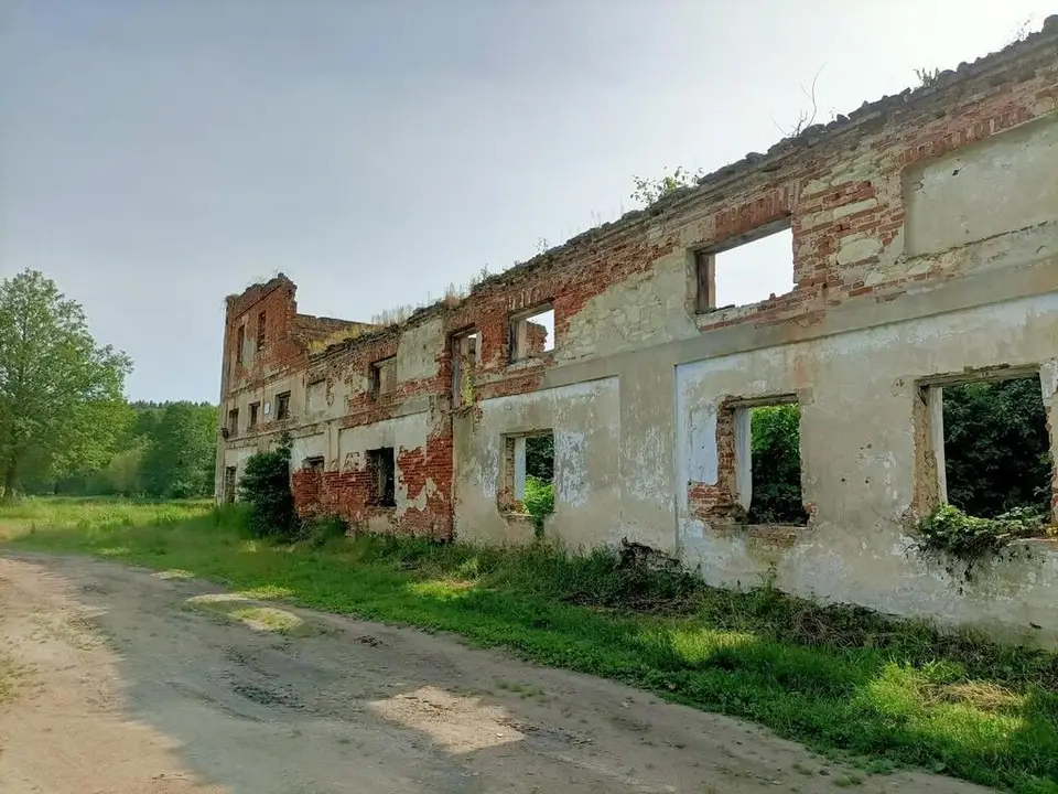 Zdjęcie 18