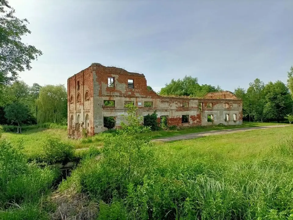 Zdjęcie 19